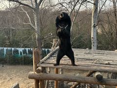 -济南野生动物世界