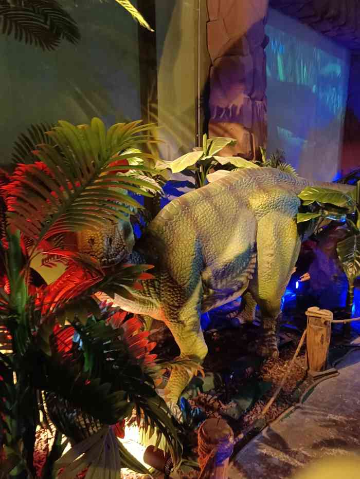 恐龙探索乐园(磁器口店)-"【印象】项目有特色 | 服务热情地方比.