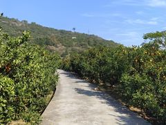 -南北湖风景区