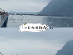 -海埂大坝