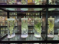 -广东中医药博物馆
