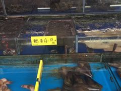 水产区-四海之家(蛇口店)