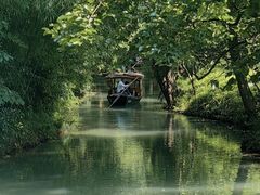 -野蔓果·山野菜(西湖景区·龙井茶田店)