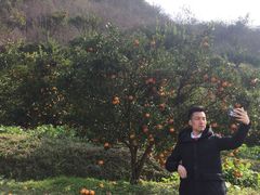 -魁星楼