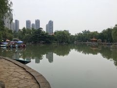 -西苑公园