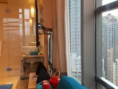 -香港港岛英迪格酒店