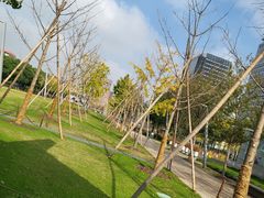 -COFFEE CALL(云锦路店)