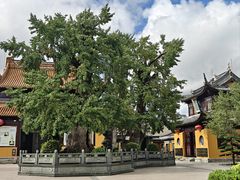 -圆通寺