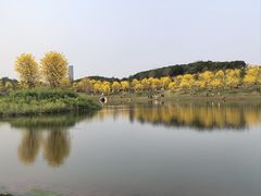-大新明仕山庄
