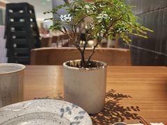 -CURRY YA 熟成咖哩專門店(深圳湾万象城店)