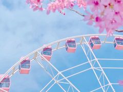 -顾村公园