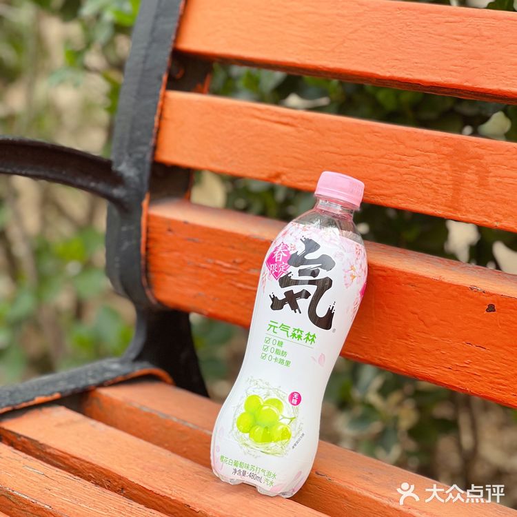 🌸🍃🌸 元气森林，让春日少女心爆棚 🌸🍃🌸