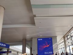 -上海浦东国际机场-T2航站楼