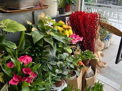 -FEI FEI FLOWER鲜花店·气球派对·宝宝宴布置(虹口德必运动Loft店)