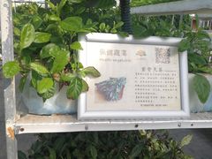 -晶宝温泉农庄