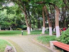 -荆川公园