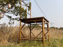 -长田漾湿地公园