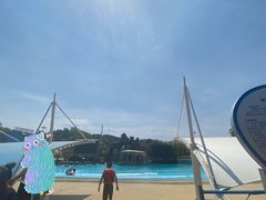 -青鱼湾水上乐园