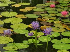 -国家植物园南园