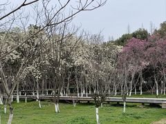 -良渚古城遗址公园