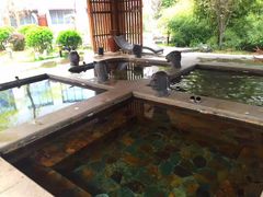 -中家鑫园温泉酒店鑫悦汤泉