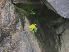 -楠溪江风景名胜区