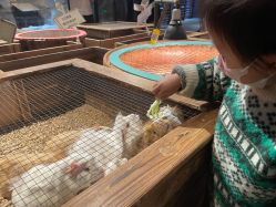 -酷嗒动物文化乐园(cutezoo西溪乐天城店)