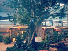 -森谷美食公园(杨行店)