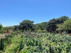 -国家植物园南园