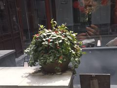 -映像威海·海鲜味道(市区店)