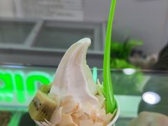 -Salud撒露欧洲冻酸奶(五道口购物中心店)