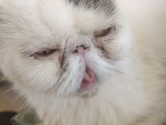-平行世界·猫咖(首经贸店)