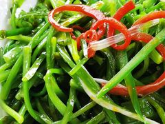 清炒水性杨花-老滇山寨•云南特色菜•地方菜•民族风情歌舞表演(金碧店)