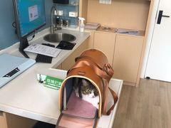 -柏萃动物医院·骨科·牙科
