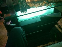 -吉星氧吧量贩式KTV(惠乐购百货店)