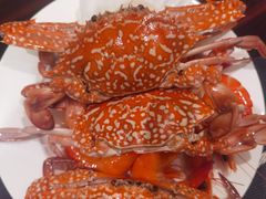 -广州万富希尔顿酒店-感趣自助餐厅·生蚝海鲜刺身