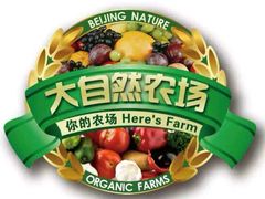 -大自然农场蔬菜草莓采摘园