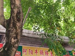 -阿阳牛腩腌面店