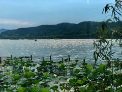 -湖畔居茶楼(湖滨店)