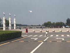 -丁香湖公园