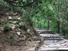 -北京鹫峰国家森林公园