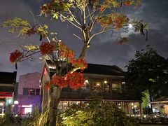 -欢乐海岸水秀剧场