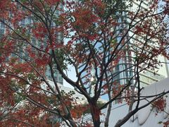 -宝藏绿洲(万象前海店)