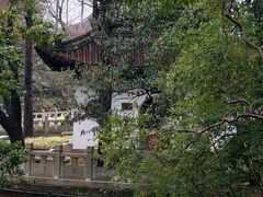 -汇龙潭
