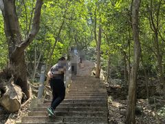 -紫金山山顶公园