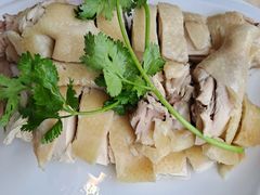 白切文昌鸡-墨脱石锅椰子鸡•香草鸭•东山羊(大东海店)