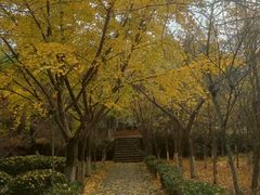 -白马涧龙池景区