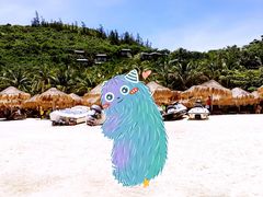 -海南分界洲岛旅游区