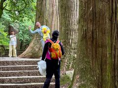 -天目山大树王景区