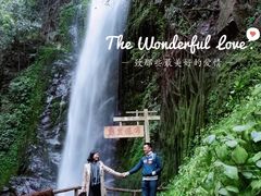 -莫里热带雨林景区